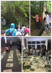 阅识百草形,心怀岐黄梦――记14级中药学专业天目山见习